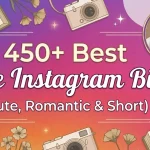 Love Instagram Bios