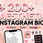 Aesthetic Instagram Bios